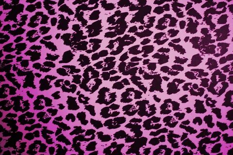 Pink Purple Blue Pink Purple Cow Print Wallpaper - Goimages 