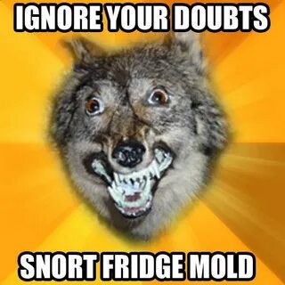 courage wolf meme - Google Search Funny animal jokes, Animal