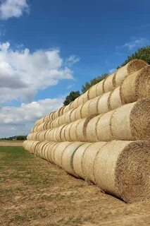 Page 5 straw straw bales 1080P, 2K, 4K, 5K HD wallpapers fre