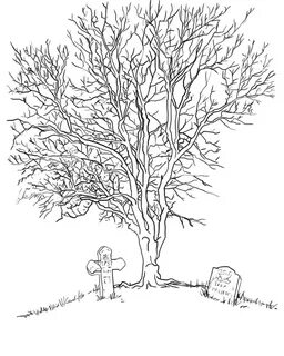Ash Tree Drawing at GetDrawings Free download