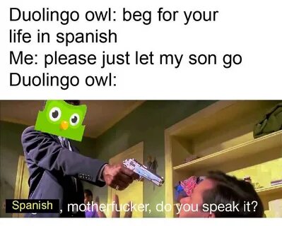 25 Duolingo Owl Memes That Threaten to Murder Your Family - 