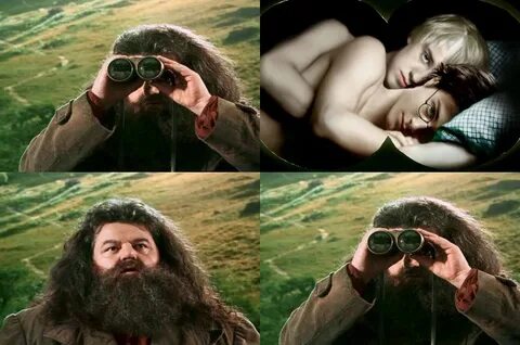 d--r--a--r--r--y Best funny pictures, Hagrid, Drarry