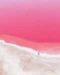 Розовая лагуна Хатт (Hutt Lagoon) в фотографиях Кристины Мак