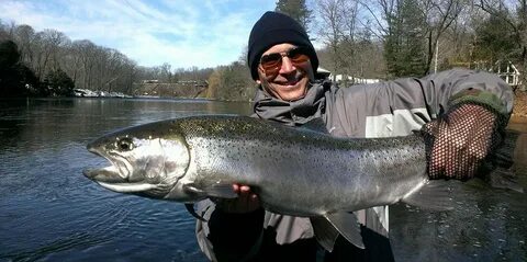 Muskegon River Spring Steelhead Muskegon Steelhead Fishing