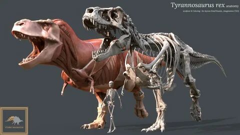 Vitamin Imagination - Tyrannosaurus Rex Anatomy