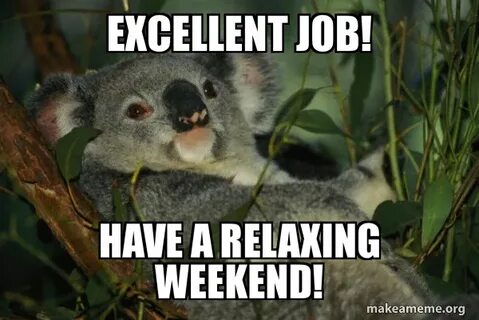 Excellent job! Have a relaxing weekend! - Laid Back Koala Ma