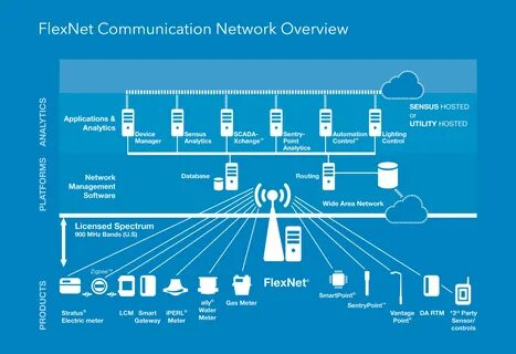 Infographic: FlexNet Communication Network Overview - Sensus