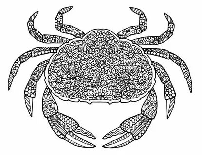 Crab Doodle - Doodle is Art Animal doodles, Doodle art drawi