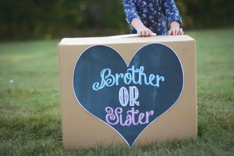Brother or Sister gender sibling reveal balloon box sign Ets
