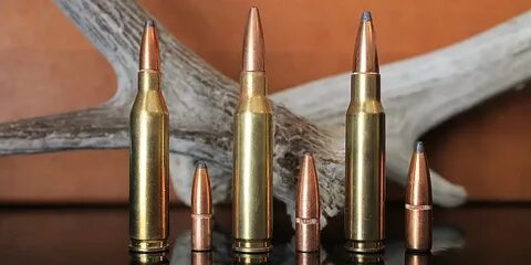 243 vs 308 vs 7mm-08: Which Is Right For You? - Big Game Hun
