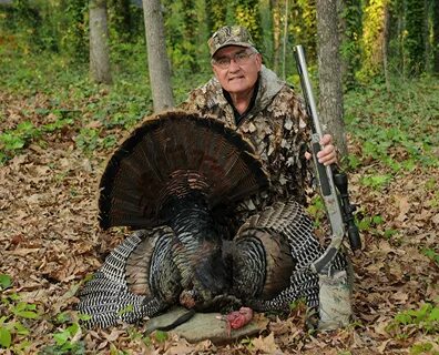 Wild Turkeys Facts and Hunting - The Poultry Guide