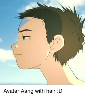 🔥 25+ Best Memes About Aang With Hair Aang With Hair Memes