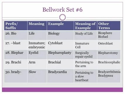 Medical Terminology Bell Work: Root Words, Prefixes, and Suf