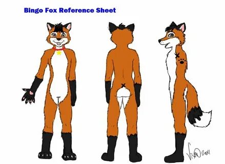 Bingo Fox - WikiFur, the furry encyclopedia