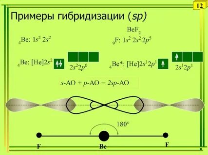 Уральский государственный аграрный университет д.х.н., проф.