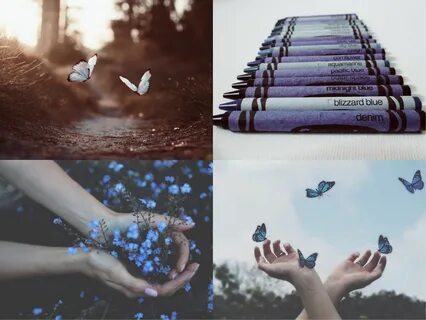 blue pastel butterfly butterflies image by @officialkeilyn