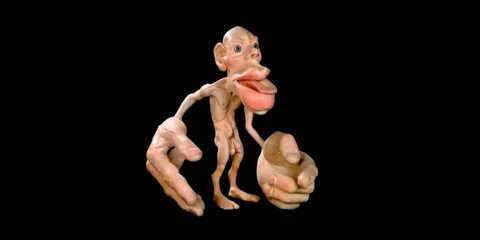 瞑想は仏教のルーツを失ってしまった。