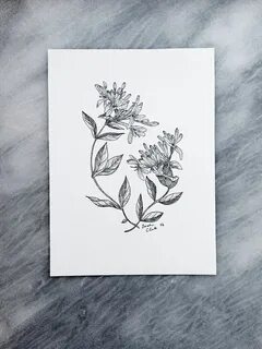 Linework Floral Art Print Hawaiian tattoo, Honeysuckle tatto