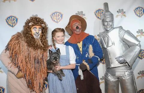Wizard Of Oz Lion Costume Diy - Diy Today