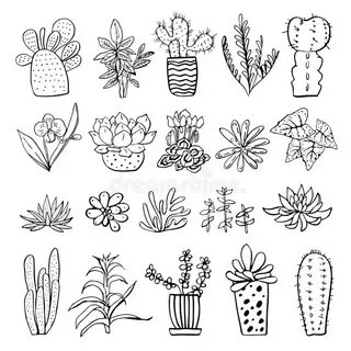 Houseplants, Cactuses and Succulents Set. Vector Hand Drawn 