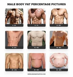 how to guess body fat percentage - vitrinhafriyat.com.