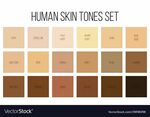 Creative vector illustration of human skin tone color palett