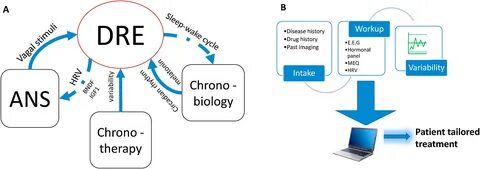 The role of chronobiology in drug-resistance epilepsy: The p