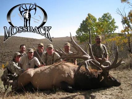 The Spider Bull - The World Record Non-Typical Bull Elk - Th