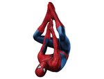 The Amazing Spider-Man Cartoon Goodies and videos