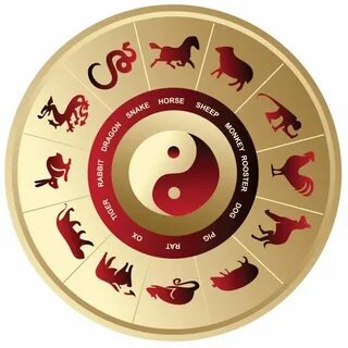 What is The Chinese Zodiac..? - QiPro Sam
