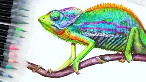 Arteza Real Brush Pens Chameleon Drawing