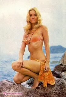 Barbara bouchet, Barbara, Fashion