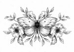 картинки бабочки 3d графика флоксы цвет - Mobile Legends