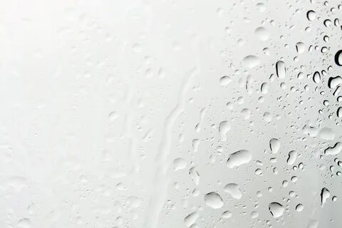 Free Images : liquid, black and white, rain, petal, glass, r