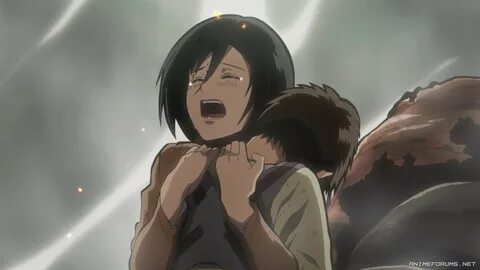Mikasa Ackerman - Image 194 - Anime Warrior Girls - Anime Fo