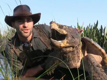 What does /an/ think of Coyote Peterson? - 4ChanArchives : a