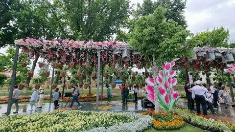 Более 2 млн цветов высадили на фестивале Tashkent Flower fes