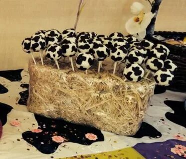 Cowprint cake pops Cow birthday parties, Farm themed birthda