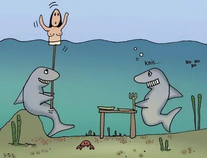 Shark bait Funny cartoons, Cartoon jokes, Funny pictures