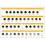 adore color chart - dad.topsheetworkhome.co