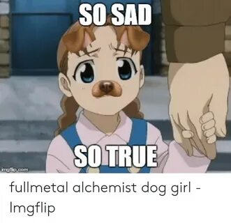 🇲 🇽 25+ Best Memes About Fullmetal Alchemist Dog Fullmetal A