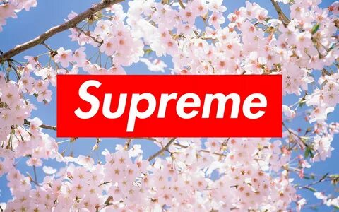 Supreme Flowers Wallpapers - Wallpaper Cave
