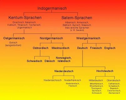 1. Stammbaum der deutschen Sprache - Языкознание и история я