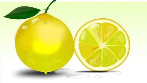 Lemon Vector Png Related Keywords & Suggestions - Lemon Vect