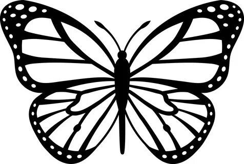 Butterfly Outline Picture Clipart - Free To Use Clip Art Res