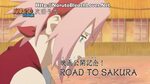 Download Video Naruto Terbaru: Naruto Shippuden 271