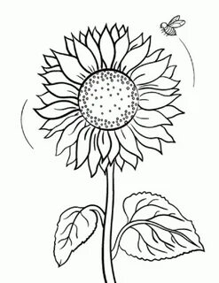 sunflower coloring pages Sunflower coloring pages, Bee color