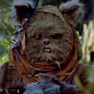 Fuzzy wuzzie was an ewok, fuzzy wuzzie had lots of hair, is 