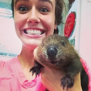 30 Of The Most Awwwdorable Baby Beavers CutesyPooh Baby beav