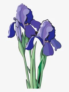 Clip Art Of Beautiful Flowers - Iris Clip Art Transparent PN